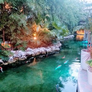 Meet your Posher, Madelyn